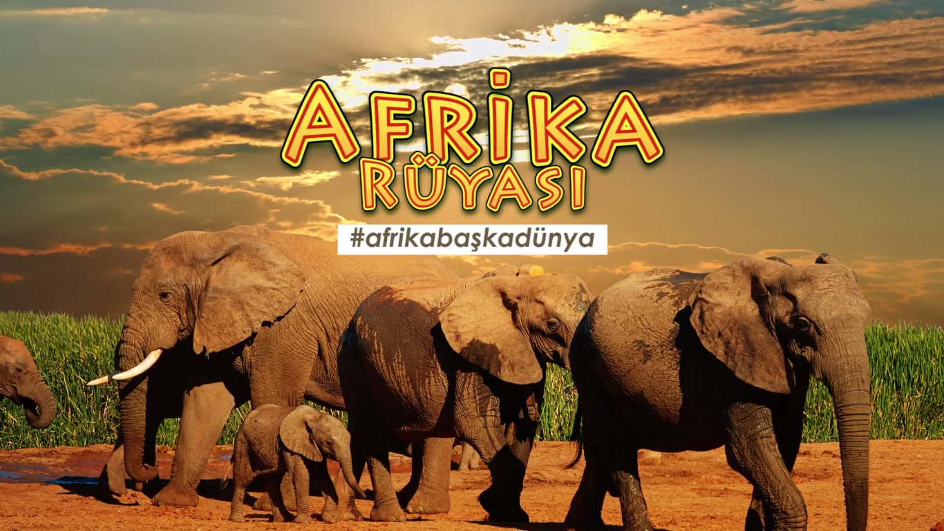 AFRİKA RÜYASI'nı Katılımcılarımızdan Dinleyin! Merve Baykara